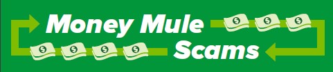 Money Mule Scam Awareness