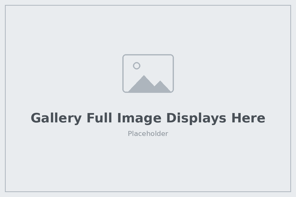 Gallery Loading Image
